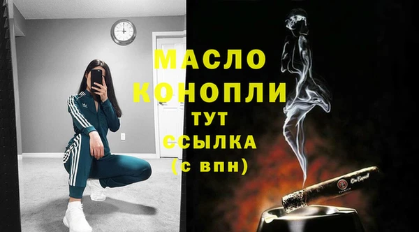 стаф Гусев