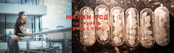 гидропоника Гусиноозёрск