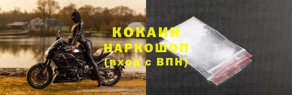 гидропоника Гусиноозёрск