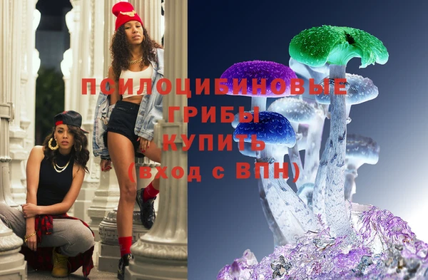 стаф Гусев