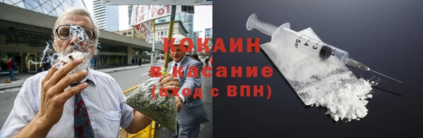 стаф Гусев