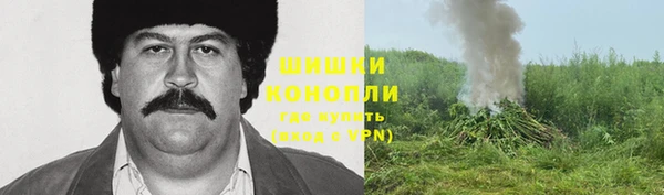 стаф Гусев