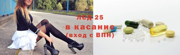 гидропоника Гусиноозёрск