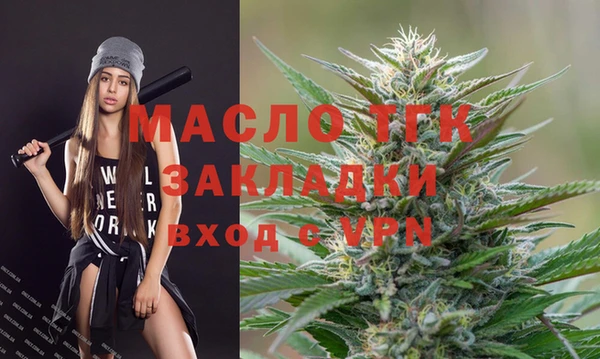 гидропоника Гусиноозёрск