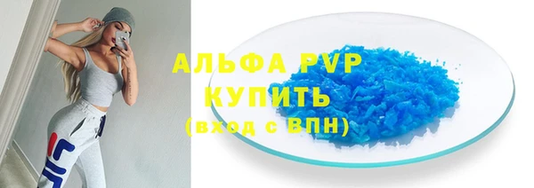стаф Гусев