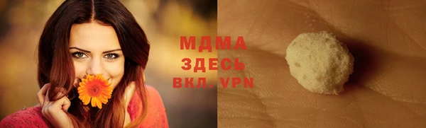 стаф Гусев