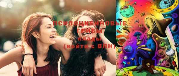 метадон Гусь-Хрустальный
