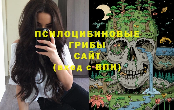 гидропоника Гусиноозёрск