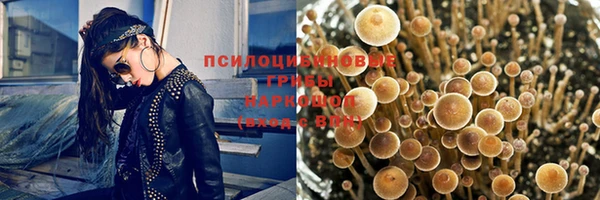 гидропоника Гусиноозёрск
