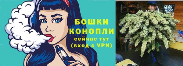 метадон Гусь-Хрустальный