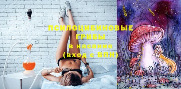 стаф Гусев