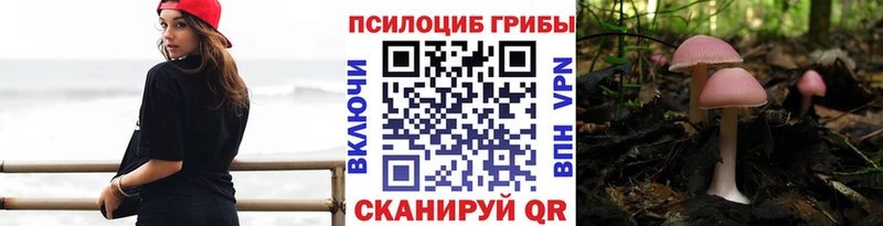 Галлюциногенные грибы Psilocybe  Купить закладки  Калининск 